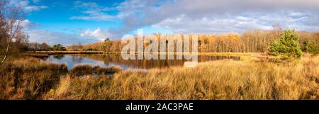 Lago di torba nei Paesi Bassi nel periodo autunnale ], bel cielo azzurro e riflessi nell'acqua, la foto è stata scattata in provincia di Drenthe nelle vicinanze della villa Foto Stock