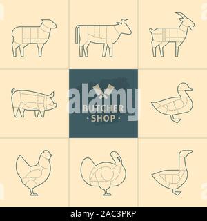 Impostare una vista schematica degli animali per il Butcher Shop. Illustrazione Vettoriale