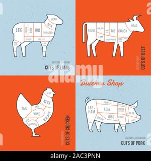 Impostare una vista schematica degli animali per il Butcher Shop. Illustrazione Vettoriale