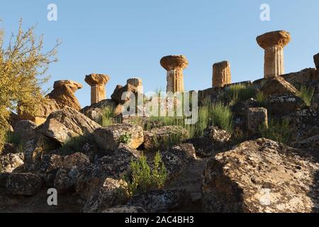 Le colonne del Tempio di Eracle (Ercole) nella Valle dei Templi in Agrigento (Akragas). Sicilia, Italia Foto Stock