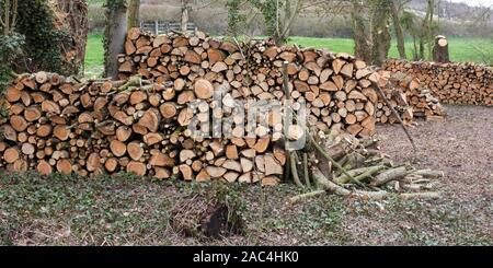 AJAXNETPHOTO. VAUX SUR SOMME, Francia. - Carburante invernale - PILE DI TAGLIO FRESCO LOGS attendono la distribuzione ai residenti locali. Foto:JONATHAN EASTLAND/AJAX REF:FX111903 5082 Foto Stock