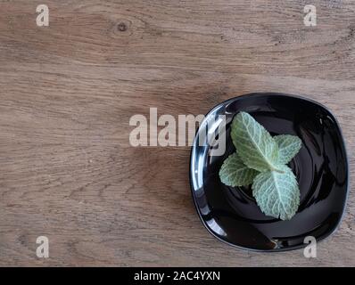 Di menta fresca le erbe in una piastra nera su rustiche in legno grigio Sfondo, natiral ingredienti tè. Foto Stock