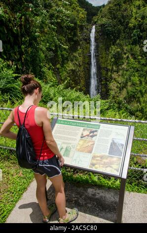 Una giovane donna peruses la visita di un segno a 'Akaka Falls; cascate precipitare 442 piedi lungo un 0,4-mile loop Sentiero escursionistico attraverso una foresta pluviale tropicale nel Foto Stock