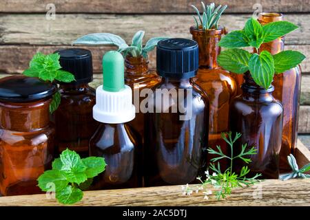 Varie erbe naturali e medicina Foto Stock