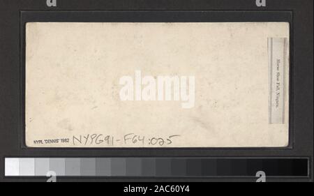 Horse-Shoe caduta, Canada lato comprende sette colorate a mano viste. Robert Dennis raccolta di vista stereoscopica. Le viste sono numerati: 90, 99-101, 110, 118, 137, 148, 150, 153, 156, 157, 162, 179, 180, 209, 229. Le visualizzazioni possono essere state effettuate da William Inghilterra. Viste del Niagara compresa la sospensione della sposa, paesaggi invernali, Blondin funambolico di attraversamento (30 giugno 1859), Terrepin tower e turisti. Colorate a mano photoprintsHorse-Shoe caduta, Canada lato. Foto Stock