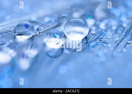 Acqua Bella cade in giù. Macro. Bella Luce morbida blu e viola dello sfondo. Messa a fuoco selettiva. Sfondo con copia spazio. Foto Stock