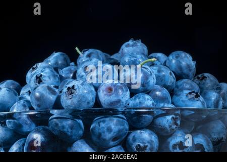 Mirtilli freschi in vetreria su sfondo nero. Close-up di Bog mirtillo, bog mirtillo, northern mirtillo o western mirtillo (Vaccinium ulig Foto Stock