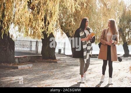 Amici di sesso femminile hanno una passeggiata attraverso il bellissimo parco di autunno Foto Stock