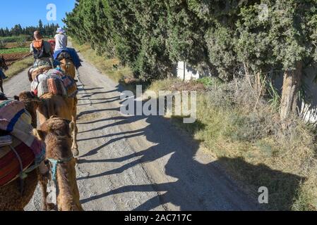 Sousse, Tunisia - 8 Novembre 2019: turisti su un cammello caravan a Sousse in Tunisia Foto Stock