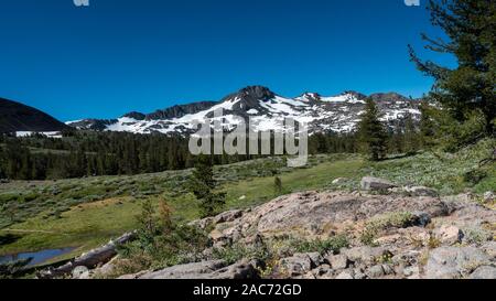Vista della montagna ricoperte di neve Winnemucca vicino lago dal lago di rana in primavera, dotate per la maggior parte del fuso di pacchi di neve , fiori selvaggi e conifere Foto Stock