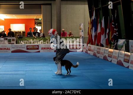 Impressioni del cane dance world cup 2019 in fiera autunno 2019 a Stuttgart Germania Foto Stock