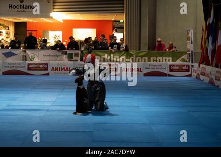 Impressioni del cane dance world cup 2019 in fiera autunno 2019 a Stuttgart Germania Foto Stock