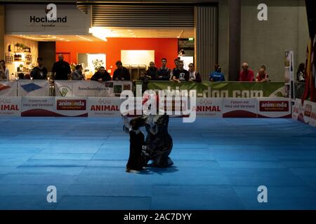 Impressioni del cane dance world cup 2019 in fiera autunno 2019 a Stuttgart Germania Foto Stock