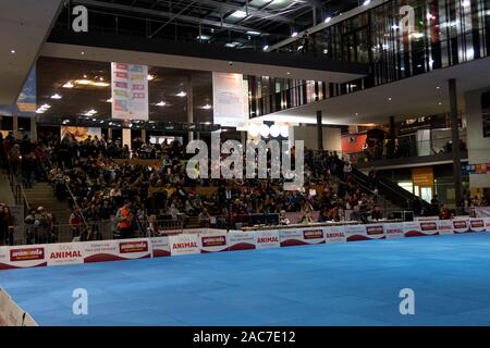 Impressioni del cane dance world cup 2019 in fiera autunno 2019 a Stuttgart Germania Foto Stock