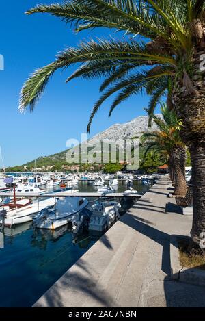 Barche e palme nel porto della città di Orebic davanti le verdi pendici carsiche e pareti rocciose del San Ilija massiccio, Peljesac,CROAZIA Foto Stock