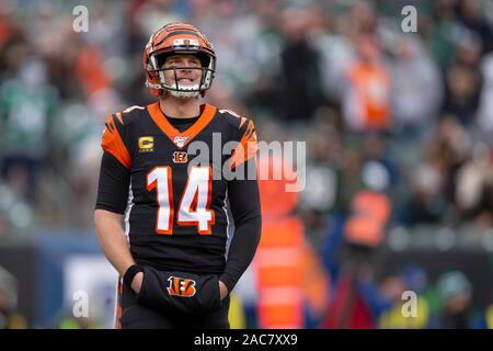 Cincinnati, OH, Stati Uniti d'America. 01 Dic, 2019. Andy Dalton (14) di Cincinnati Bengals reagisce durante l'NFL Football azione di gioco tra il New York getti e Cincinnati Bengals a Stadio Paul Brown su dicembre 01, 2019 a Cincinnati, OH. Adam Lacy/CSM/Alamy Live News Foto Stock