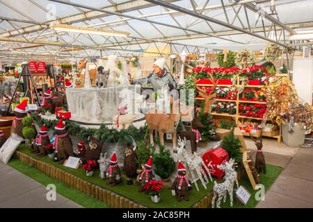 Donna shopping per le decorazioni di Natale in un giardino inglese centro Foto Stock