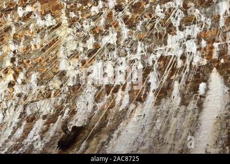 L'interno di una delle volte nel bosco di Leigh, a ridosso del ponte sospeso di Clifton, vicino a Bristol, in Inghilterra, mostra vari depositi di calcite Foto Stock