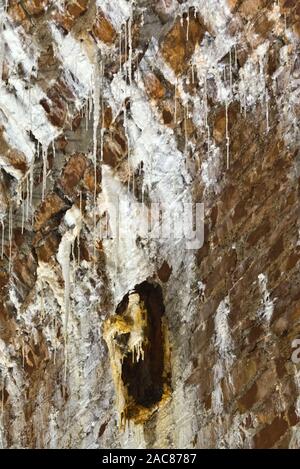 L'interno di una delle volte nel bosco di Leigh, a ridosso del ponte sospeso di Clifton, vicino a Bristol, in Inghilterra, mostra vari depositi di calcite Foto Stock