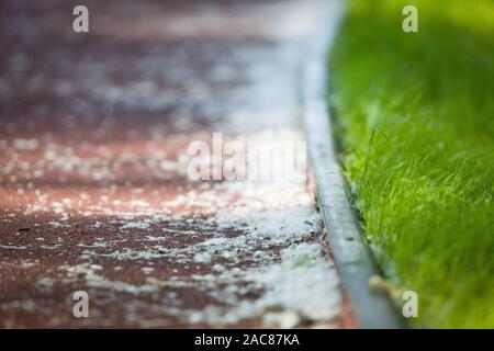 Il pioppo peluria sul sentiero nel Parco. Molla dello sfondo. All'esterno. Allergia Foto Stock