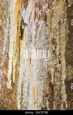 L'interno di una delle volte nel bosco di Leigh, a ridosso del ponte sospeso di Clifton, vicino a Bristol, in Inghilterra, mostra vari depositi di calcite Foto Stock