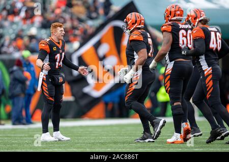 Cincinnati, OH, Stati Uniti d'America. 01 Dic, 2019. Andy Dalton (14) di Cincinnati Bengals reagisce durante l'NFL Football azione di gioco tra il New York getti e Cincinnati Bengals a Stadio Paul Brown su dicembre 01, 2019 a Cincinnati, OH. Adam Lacy/CSM/Alamy Live News Foto Stock