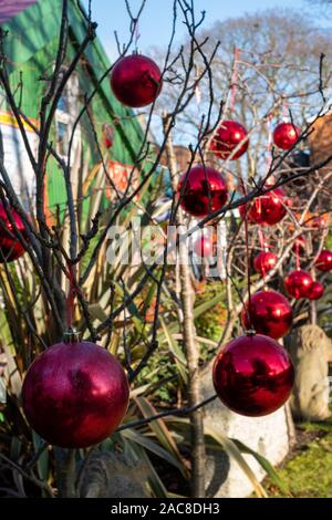 Baubles rosso per Natale appeso a un albero, fotografata sulla torta di Anguilla isola nella parte anteriore del legno di un artista della casa, Twickenham, Londra UK . Foto Stock