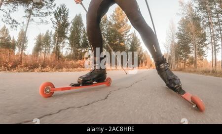 La formazione di un atleta sul rullo pattinatori. Il biathlon ride sul rullo di sci con bastoncini da sci, nel casco. Allenamento di autunno. Sport a rullo. Uomo adulto rid Foto Stock