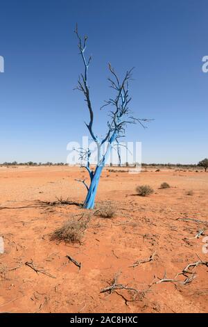 Albero dipinto di blu nel deserto per aumentare la consapevolezza della malattia mentale, vicino Milparinka, Nuovo Galles del Sud, NSW, Australia Foto Stock