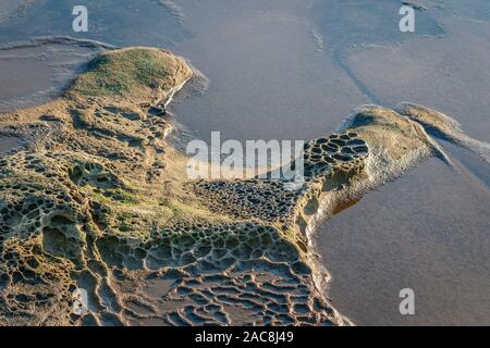 Semi-astratti dettaglio di arenaria erosa a mare di bordo, la sua trama ruvida in contrasto con la sabbia liscia visibile attraverso acqua (British Columbia). Foto Stock