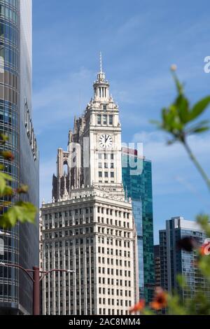 The Wrigley Building, Chicago, Stati Uniti Foto Stock