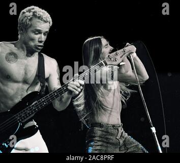 Red Hot Chili Peppers Flea (sinistra) e Anthony Kiedis giocando in concerto a grandi boschi in Mansfield MA USA 1992 foto di bill belknap Foto Stock