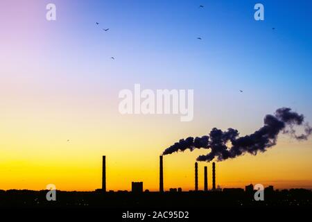 Tubo di fabbrica inquinano l'aria, i problemi ambientali e di ecologia del tema, il fumo dai camini. uccelli in volo sullo sfondo del fumo Foto Stock