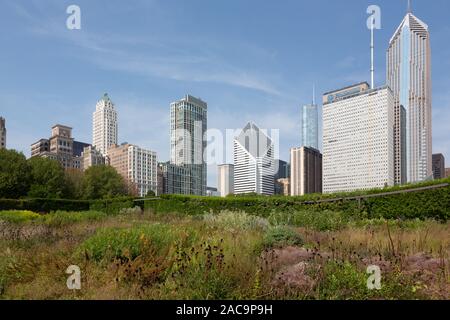 Lurie Garden, il Millennium Park, il Loop, Chicago, Illinois, Stati Uniti d'America Foto Stock