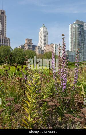 Lurie Garden, il Millennium Park, il Loop, Chicago, Illinois, Stati Uniti d'America Foto Stock