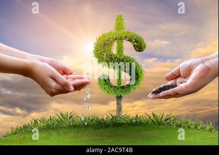 La crescita di denaro per un risparmio di denaro. Albero superiore monete al concetto illustrato ai cambiamenti di un business in espansione Foto Stock