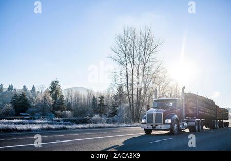 Big Rig marrone cabina giorno potente di grado industriale semi carrello il trasporto di ciocchi di legna su speciali semi rimorchio in esecuzione sulla strada invernale con il sole e Foto Stock