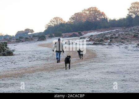 Godshill, New Forest, Hampshire, Regno Unito. Dicembre 2019, meteo: inverno è spenta per un freddo gelido e avviare nel nuovo Parco Nazionale Foreste. Un uomo a piedi due cani attraverso il paesaggio congelato. Foto Stock