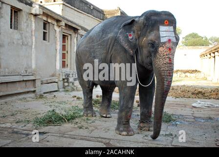 Dipinto di Elephant nel tempio, Hampi, Karnataka, India del Sud, Asia Foto Stock