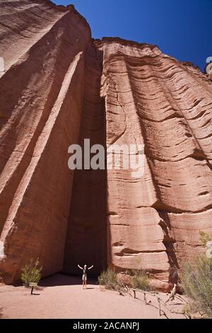 Camera eco Chimenea del Eco in arenaria di gola nel Parque Nacional Talampaya, Argentina, camera di Echo Foto Stock