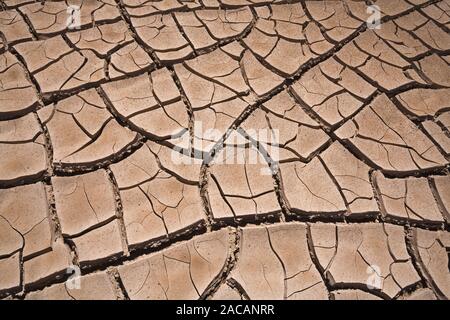 La terra secca, crepe, deserto Paso de Jama, Argentina, essiccato-fuori terra rosolata, Argentina Foto Stock