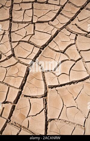 La terra secca, crepe, deserto Paso de Jama, Argentina, essiccato-fuori terra rosolata, Argentina Foto Stock