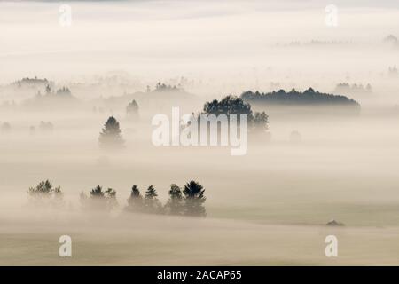 La nebbia paesaggio bavarese, pre-Alpi, Baviera, Germania Foto Stock