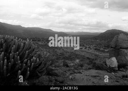 Wüste vor Sierra Madre, 1963. Deserto con la Sierra Madre nel retro, 1963. Foto Stock