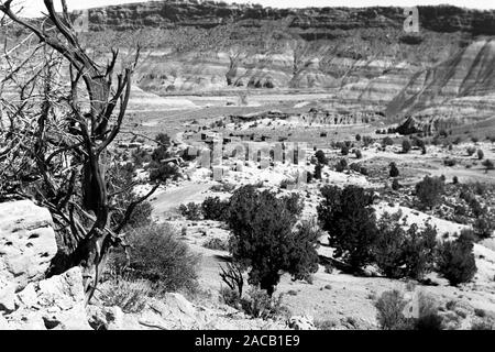 Unterwegs im Grenzgebiet Utah-Arizona, 1960er. Roadtrip attorno alla linea di confine Utah-Arizona, 1960s. Foto Stock