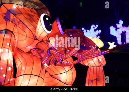 Parigi, Francia. 1 dicembre, 2019. "Oceano sul modo di illuminismo", il festival delle luci del Jardin des Plantes di Parigi, Francia. Foto Stock