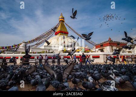 Vista panoramica di Boudha Stupa nel sobborgo Boudhanath, grande gregge di colombe che aleggia intorno ad esso Foto Stock