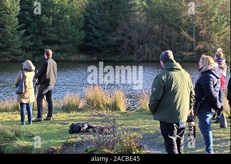 Aberystwyth Ceredigion nel Galles/UK 1 Dicembre 2019: i fotografi e gli appassionati di bird-watching a raccogliere Bwlch Nant Yr Arian aquilone rosso centro di alimentazione. Foto Stock