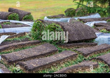 Turf rotolo di erba, erba verde tappeto in rotolo per prato. Pila di tappeto erboso rotoli di erba per la sistemazione paesaggistica. Foto Stock