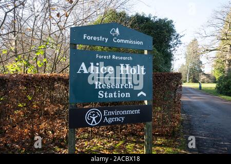 Alice Holt ricerca nel settore forestale di ingresso in stazione e segno (Commissione forestale) in Hampshire, Regno Unito Foto Stock